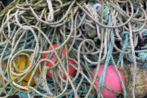 sea fishing tips