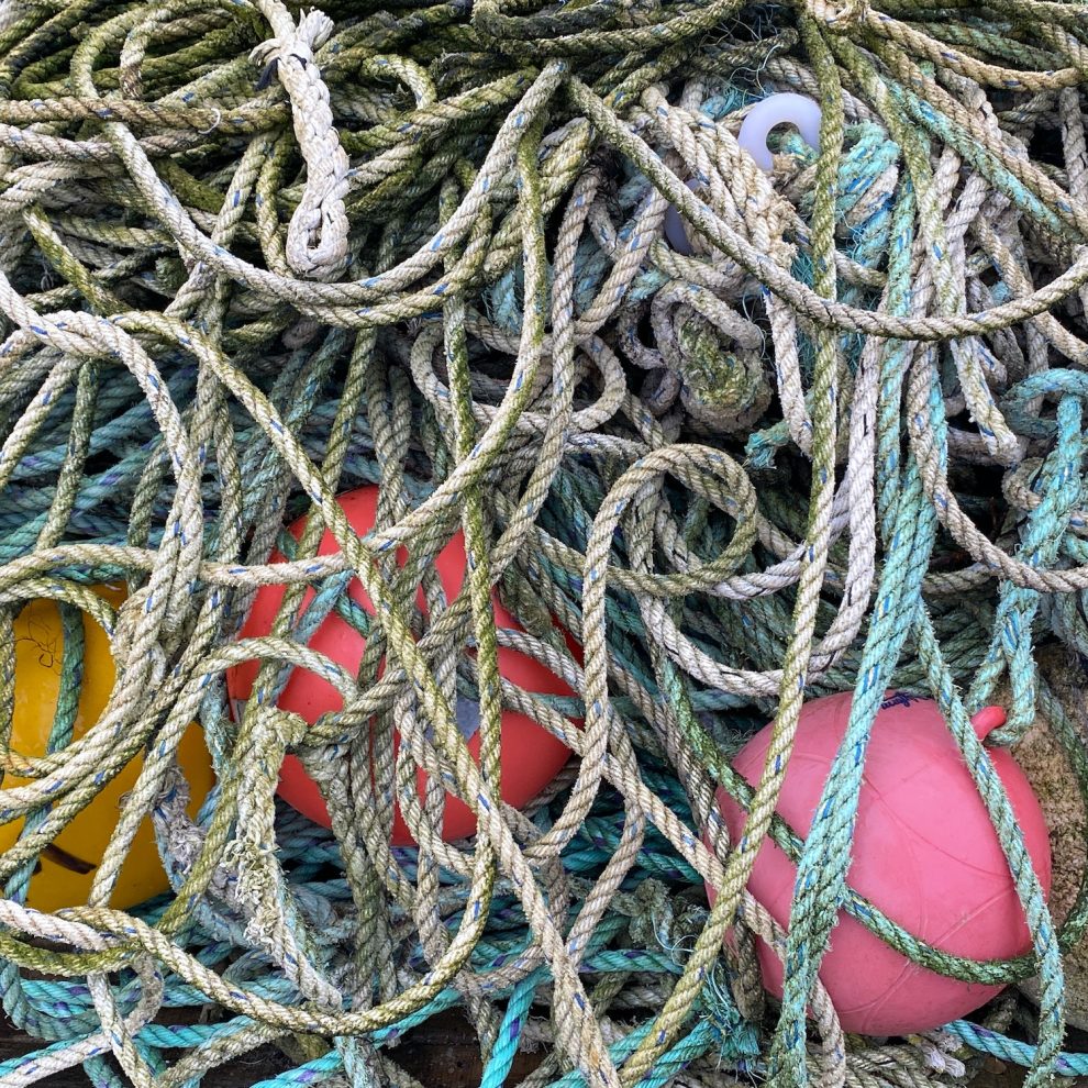 Mes 3 trucs infaillibles pour la pêche en mer 1 sea fishing tips