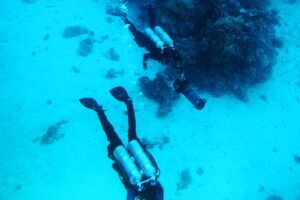 croisiere plongee sous marine