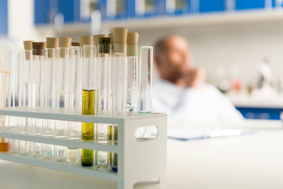 Échantillons dans de longs tubes à essai placés dans un support sur une table en laboratoire